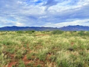 0.83 acre parcel Sunsites Pearce Arizona - site-built homes allowed - photo 10