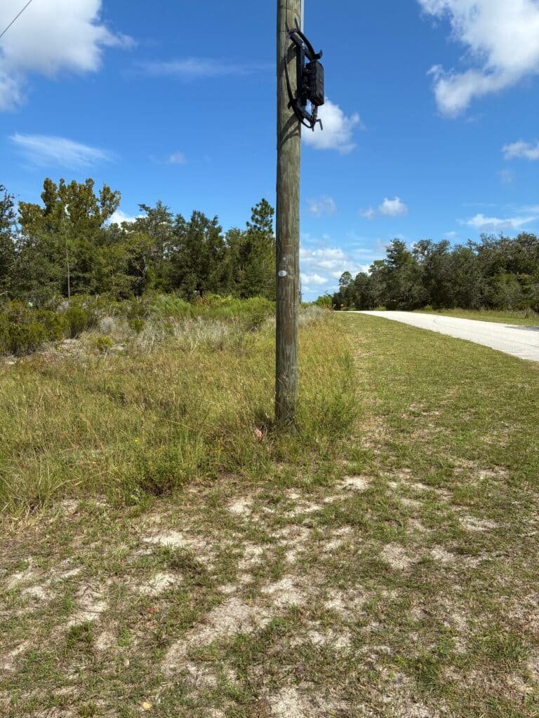 Affordable Land for Sale in Levy County, FL — Stop Paying Rent and Build Your Future - photo 6
