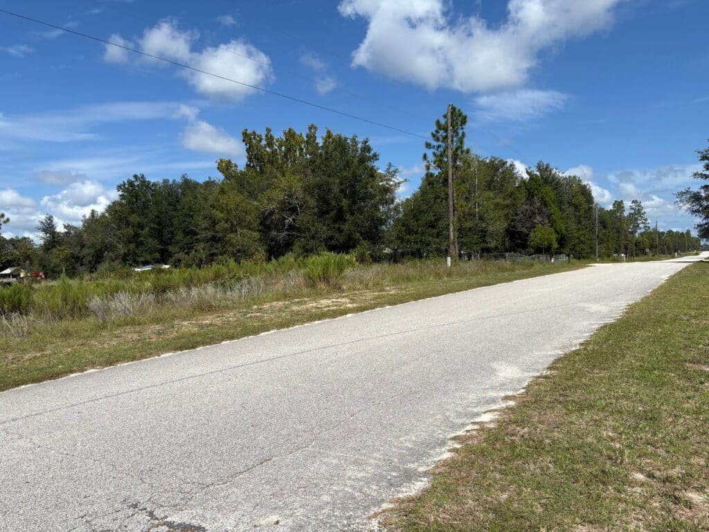 Affordable Land for Sale in Levy County, FL — Stop Paying Rent and Build Your Future - photo 5