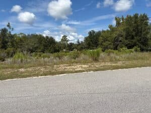 0.29 acre land for sale in Bronson, Florida - photo 1