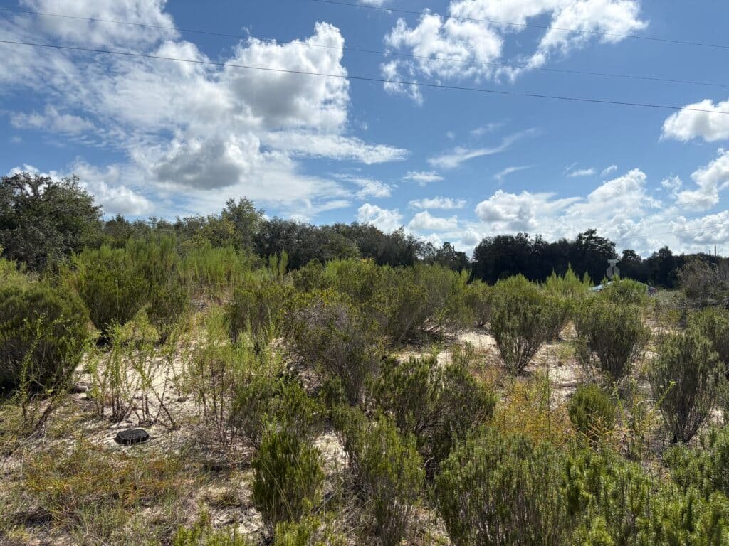 Affordable Land for Sale in Levy County, FL — Stop Paying Rent and Build Your Future - photo 3