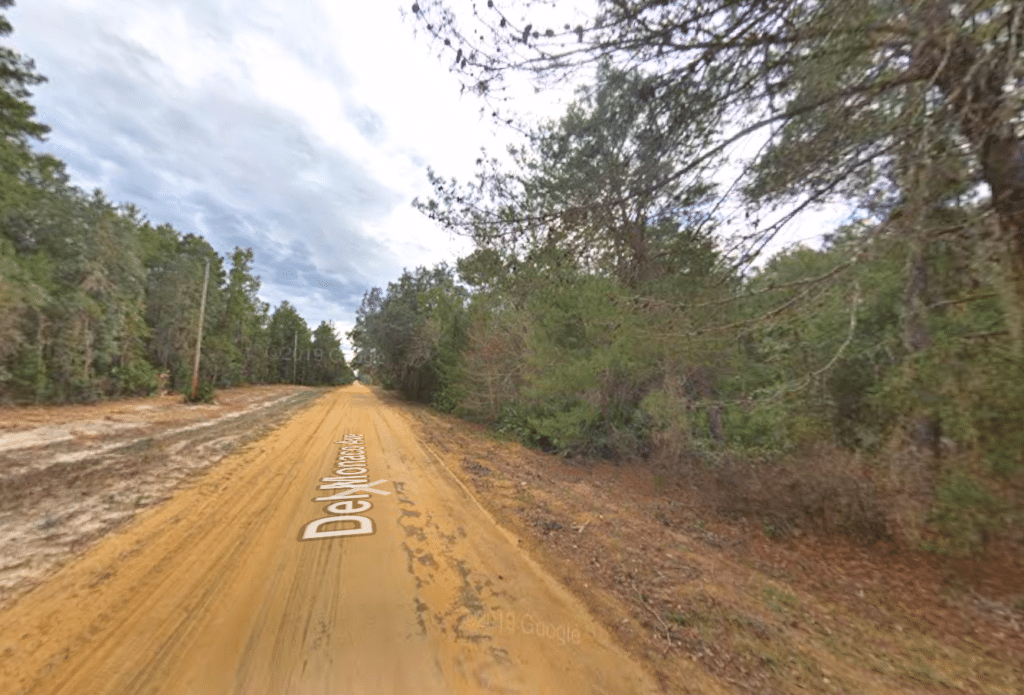 Flat, treed 0.43 acre homestead lot in Putnam County, Florida - owner financed - photo 2