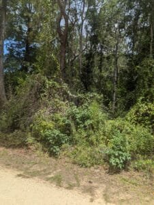 0.34 acre land for sale in Ivanhoe, Texas - photo 3