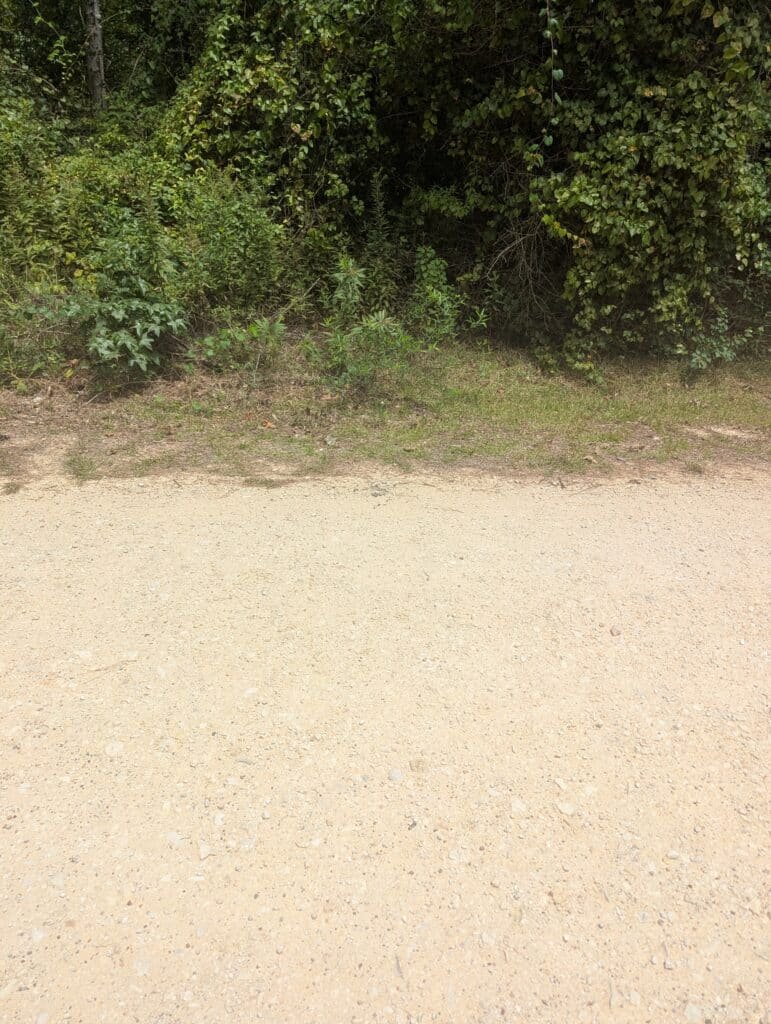 0.34 Acres in Tyler County, Texas – Lake Ivanhoe, Owner Financed - photo 5
