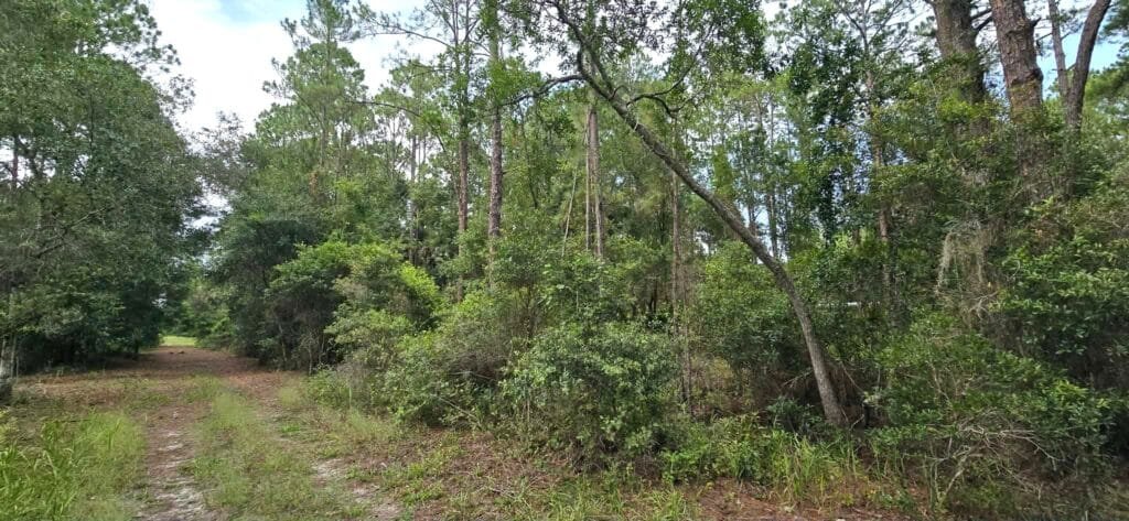 Stop Renting Plan your FL Place - photo 7