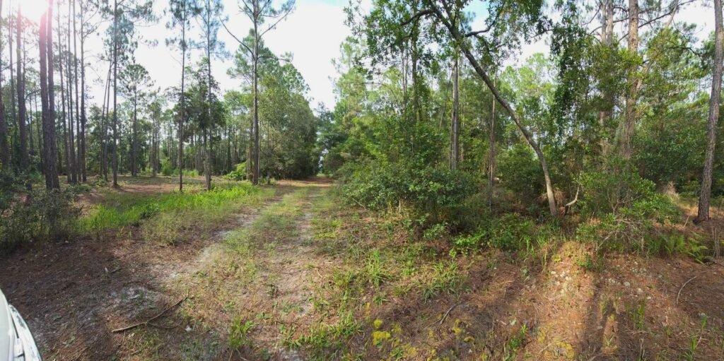 Stop Renting Plan your FL Place - photo 6