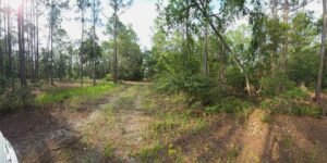 0.23 acre land for sale in GEORGETOWN, Florida - photo 6