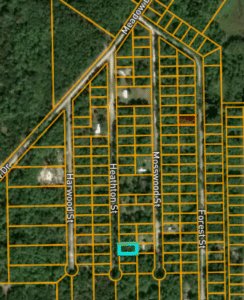 0.23 acre land for sale in GEORGETOWN, Florida - photo 4