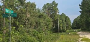 0.23 acre land for sale in GEORGETOWN, Florida - photo 10