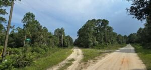 0.23 acre land for sale in GEORGETOWN, Florida - photo 9
