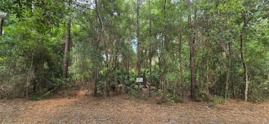 Own Your Land Near Lake George