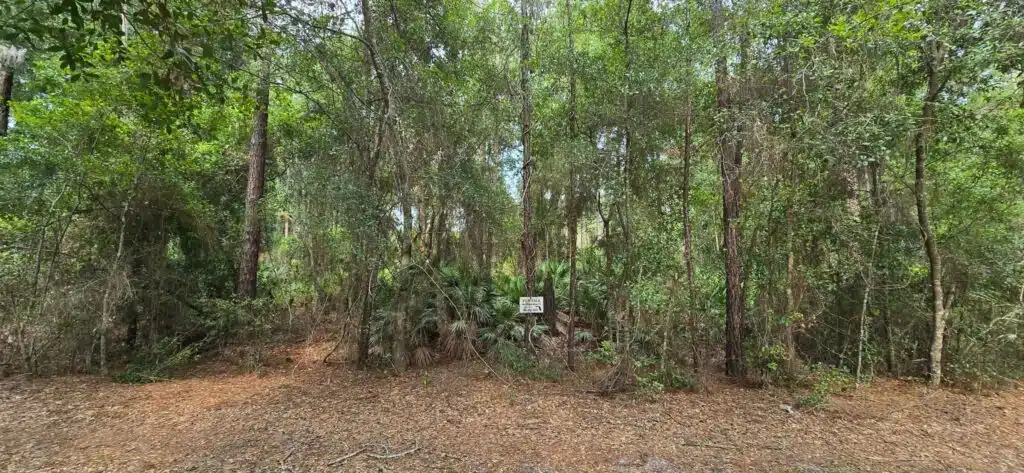 Own Your Land Near Lake George