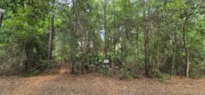 0.23 acre land for sale in GEORGETOWN, Florida - photo 1