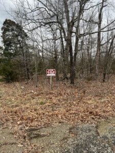 0.3 acre land for sale in Horseshoe Bend, Arkansas - photo 3