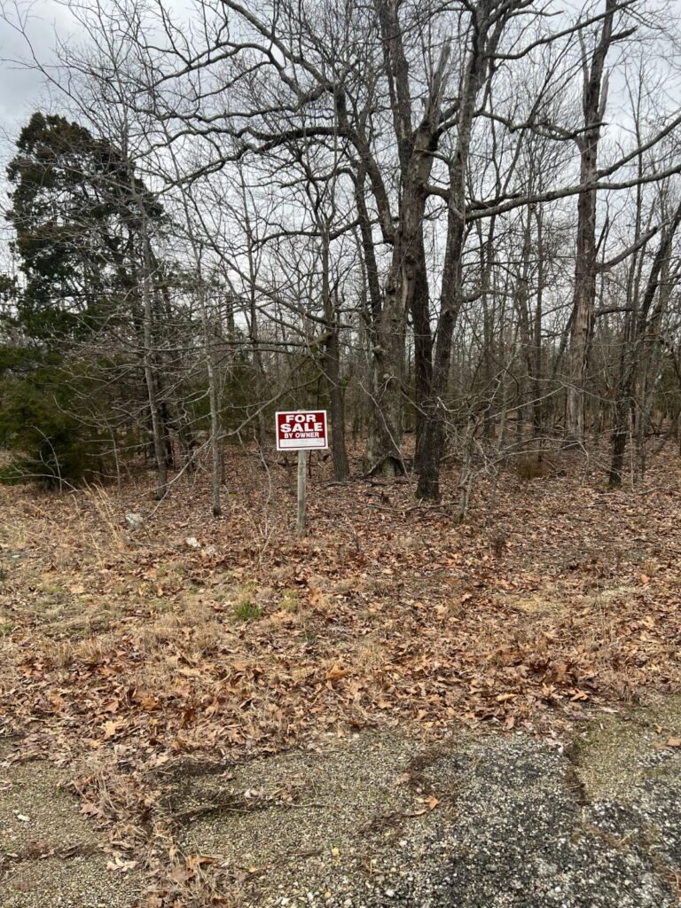 0.3 Acres in Izard County, Arkansas – Horseshoe Bend, Owner Financed - photo 3