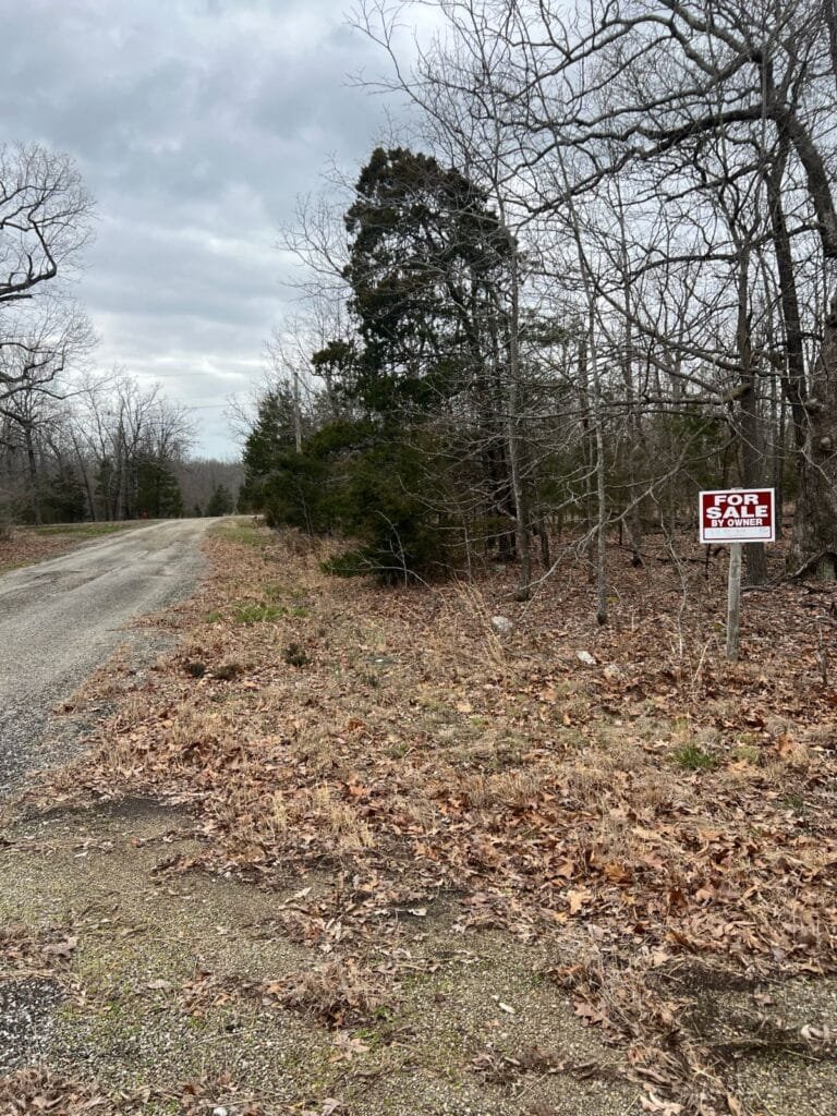 0.3 Acres in Izard County, Arkansas – Horseshoe Bend, Owner Financed - photo 4