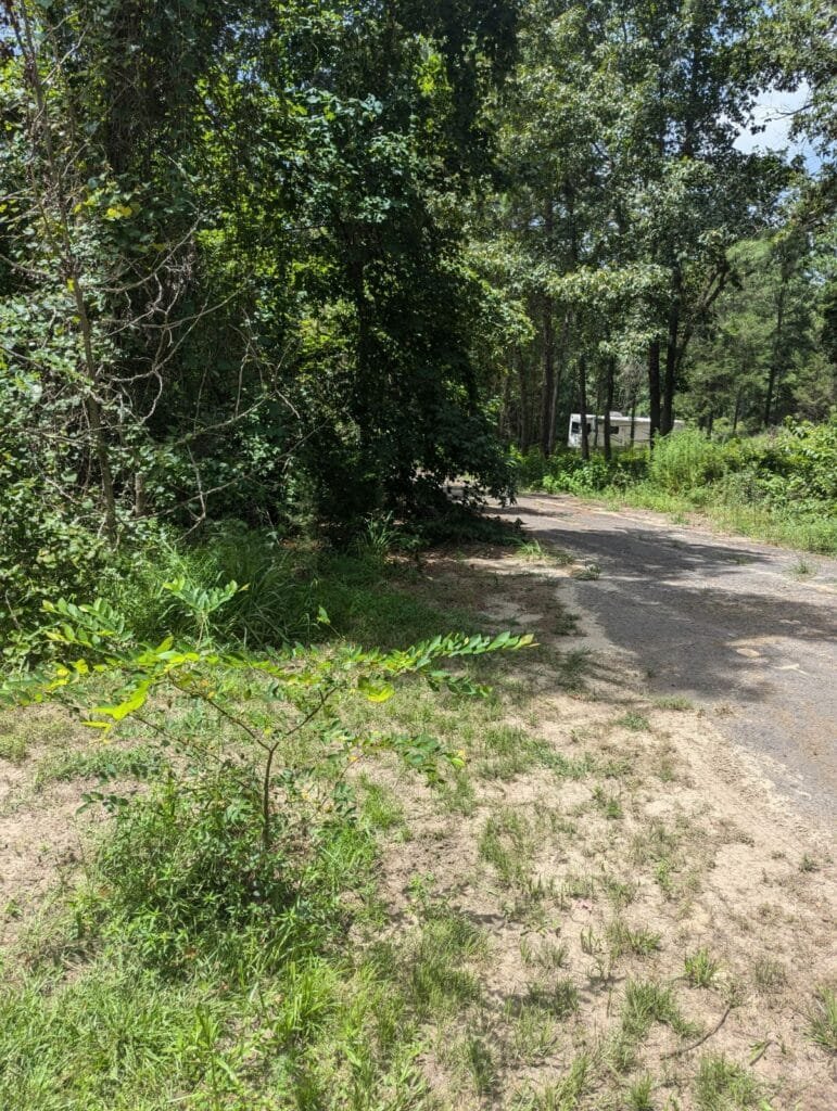 0.067 Acre RV Lot in Holiday Pines, Mineola TX (41×80) - photo 3