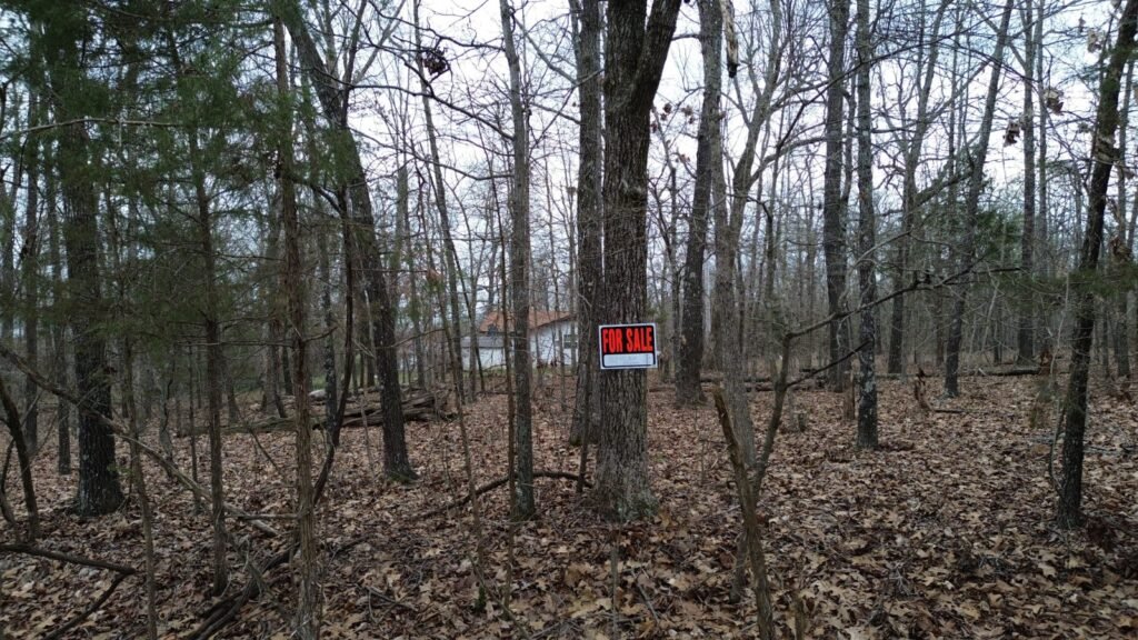 0.28 Acres in Izard County, Arkansas – Horseshoe Bend, Owner Financed - photo 2