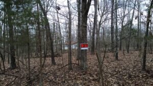 0.28 acre land for sale in Horseshoe Bend, Arkansas - photo 2