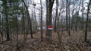 0.28 acre land for sale in Horseshoe Bend, Arkansas - photo 4