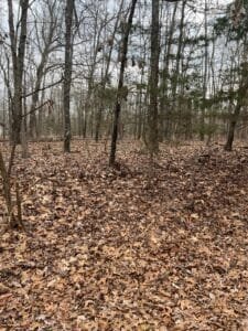 0.28 acre land for sale in Horseshoe Bend, Arkansas - photo 6