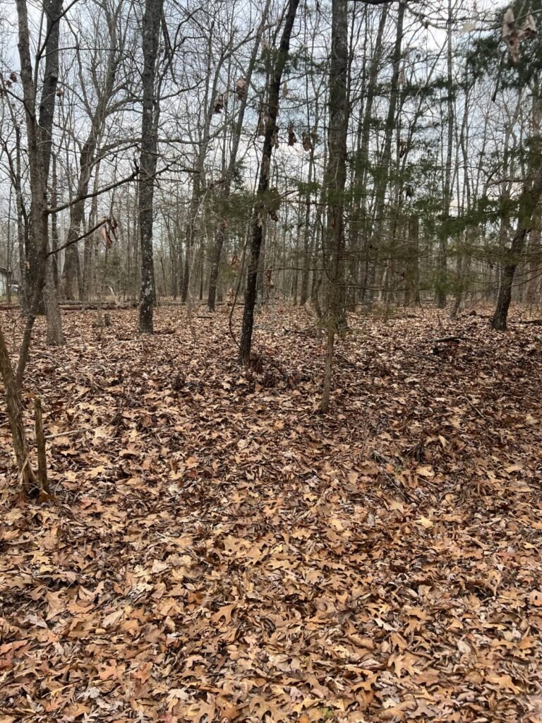 0.28 Acres in Izard County, Arkansas – Horseshoe Bend, Owner Financed - photo 6