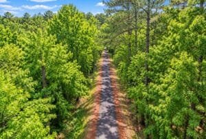 0.28 acre land for sale in Brandon, Mississippi - photo 1
