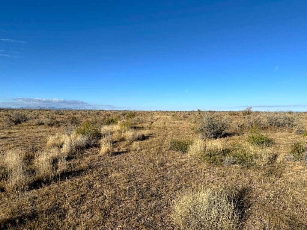 3 Connected Lots 1.5 Acres in Deming, NM with RVs & Mobile Homes Allowed for $99/mo - photo 3
