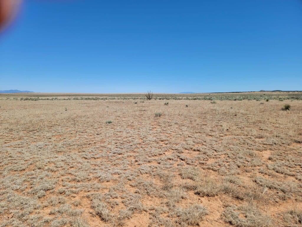 1–Acre New Mexico Land — Affordable Investment Opportunity - photo 4
