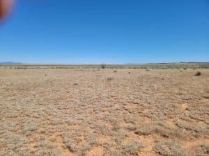 1 acre land for sale in Moriarty, New Mexico - photo 4