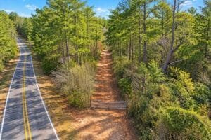 0.19 acre land for sale in Toomsuba, Mississippi - photo 8
