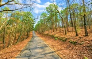 0.33 acre land for sale in Fairfield Bay, Arkansas - photo 2