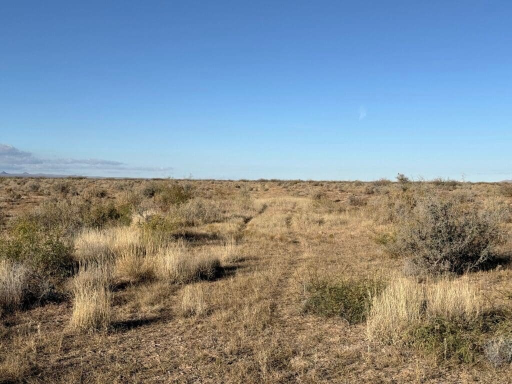 3 Connected Lots 1.5 Acres in Deming, NM with RVs & Mobile Homes Allowed for $99/mo - photo 4
