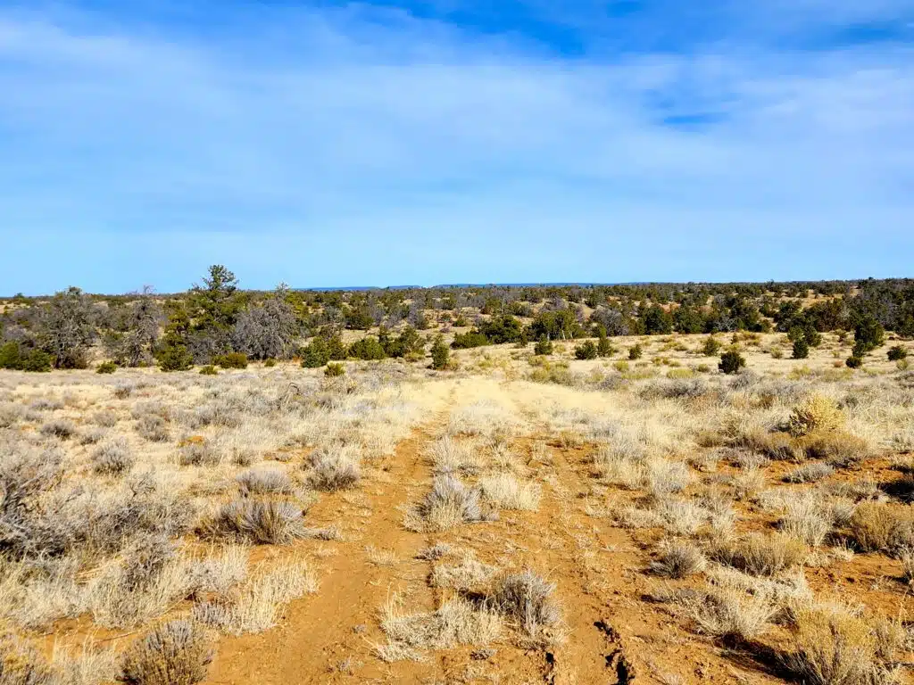 10 Acres of Freedom to Build, Camp, & RV Near Albuquerque, Ice Cave, & Bandera Volcano for 299/mo