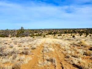 10 acre land for sale in Pinehill, New Mexico - photo 1