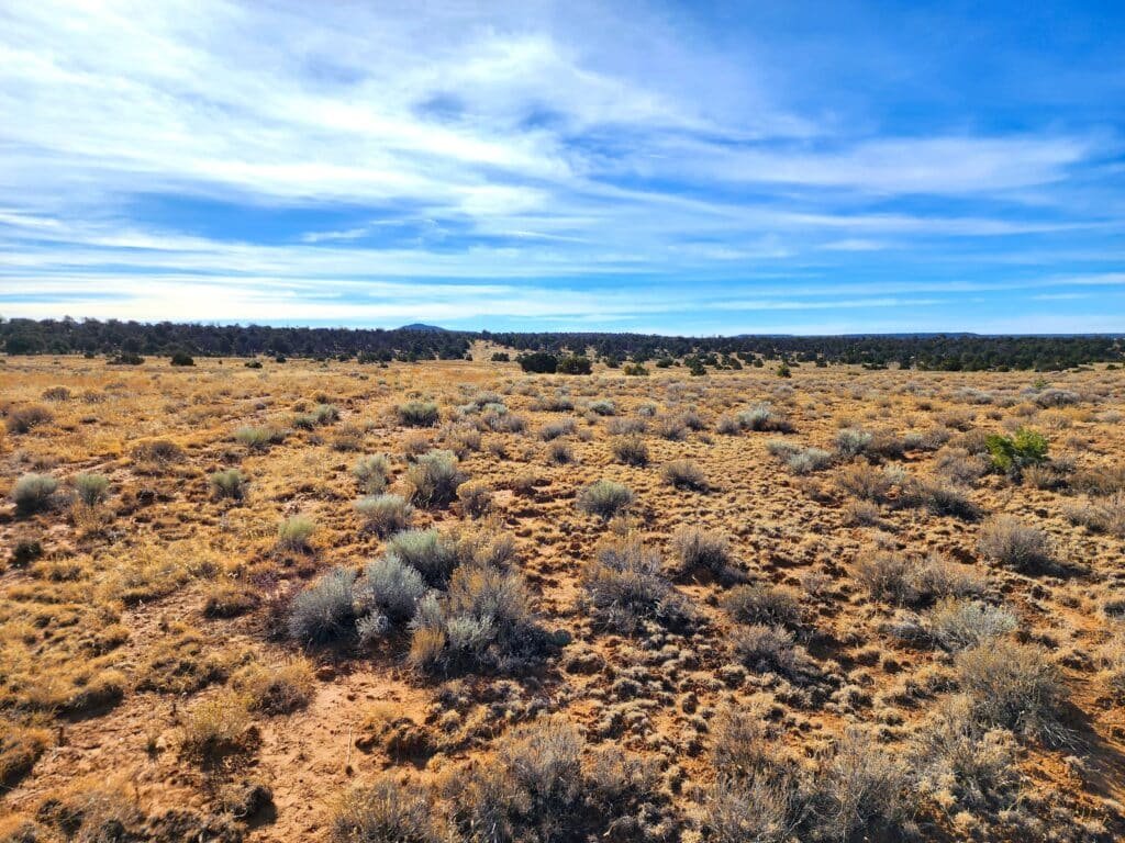 10 Acres of Freedom to Build, Camp, & RV Near Albuquerque, Ice Cave, & Bandera Volcano for 299/mo - photo 5