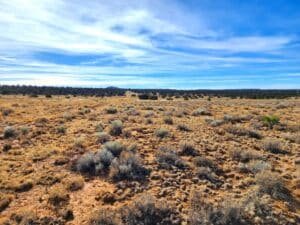 10 acre land for sale in Pinehill, New Mexico - photo 5
