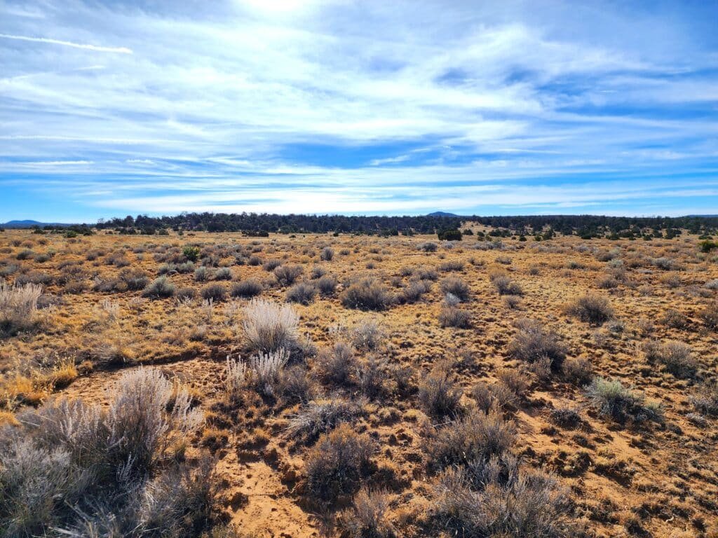 10 Acres of Freedom to Build, Camp, & RV Near Albuquerque, Ice Cave, & Bandera Volcano for 299/mo - photo 6