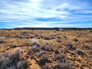 10 acre land for sale in Pinehill, New Mexico - photo 6