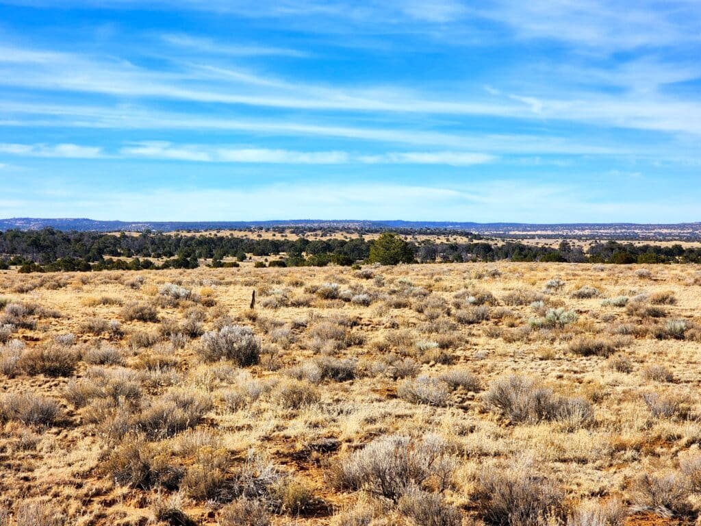 10 Acres of Freedom to Build, Camp, & RV Near Albuquerque, Ice Cave, & Bandera Volcano for 299/mo - photo 2