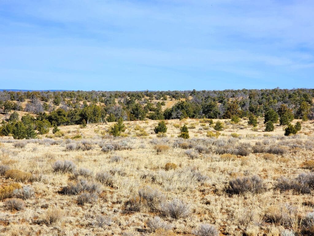 10 Acres of Freedom to Build, Camp, & RV Near Albuquerque, Ice Cave, & Bandera Volcano for 299/mo - photo 3