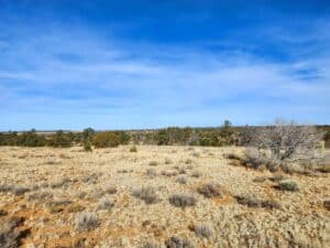 10 acre land for sale in Pinehill, New Mexico - photo 4