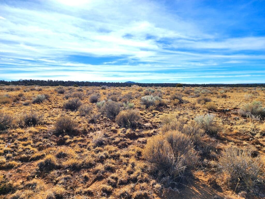 10 Acres of Freedom to Build, Camp, & RV Near Albuquerque, Ice Cave, & Bandera Volcano for 299/mo - photo 7
