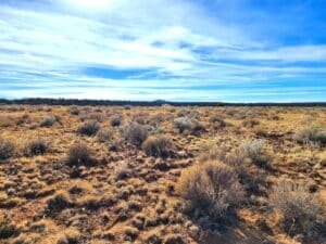 10 acre land for sale in Pinehill, New Mexico - photo 7