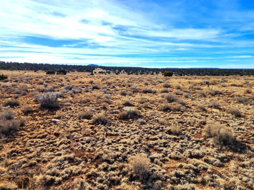 10 Acres of Freedom to Build, Camp, & RV Near Albuquerque, Ice Cave, & Bandera Volcano for 299/mo - photo 8