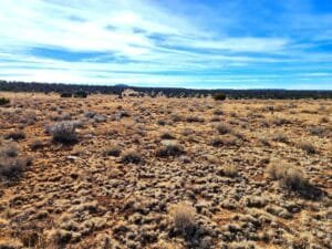 10 acre land for sale in Pinehill, New Mexico - photo 8