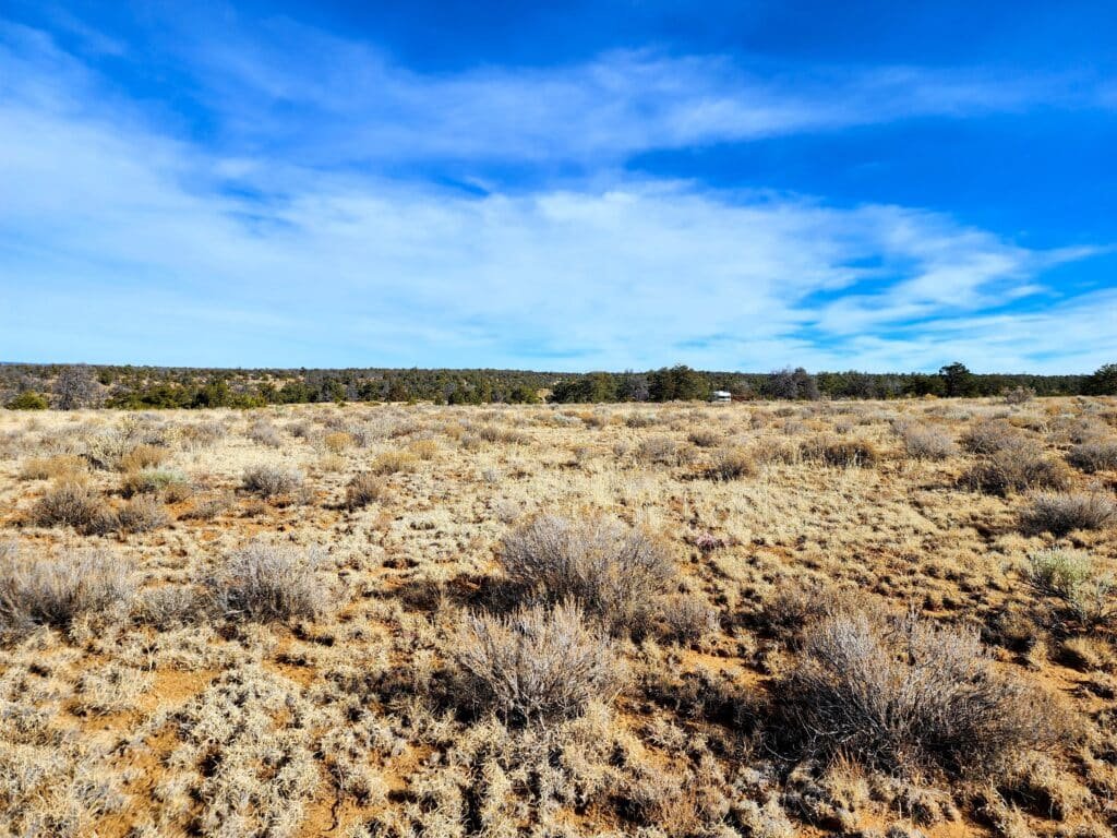10 Acres of Freedom to Build, Camp, & RV Near Albuquerque, Ice Cave, & Bandera Volcano for 299/mo - photo 9