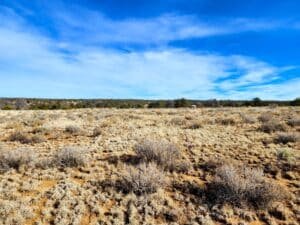 10 acre land for sale in Pinehill, New Mexico - photo 9