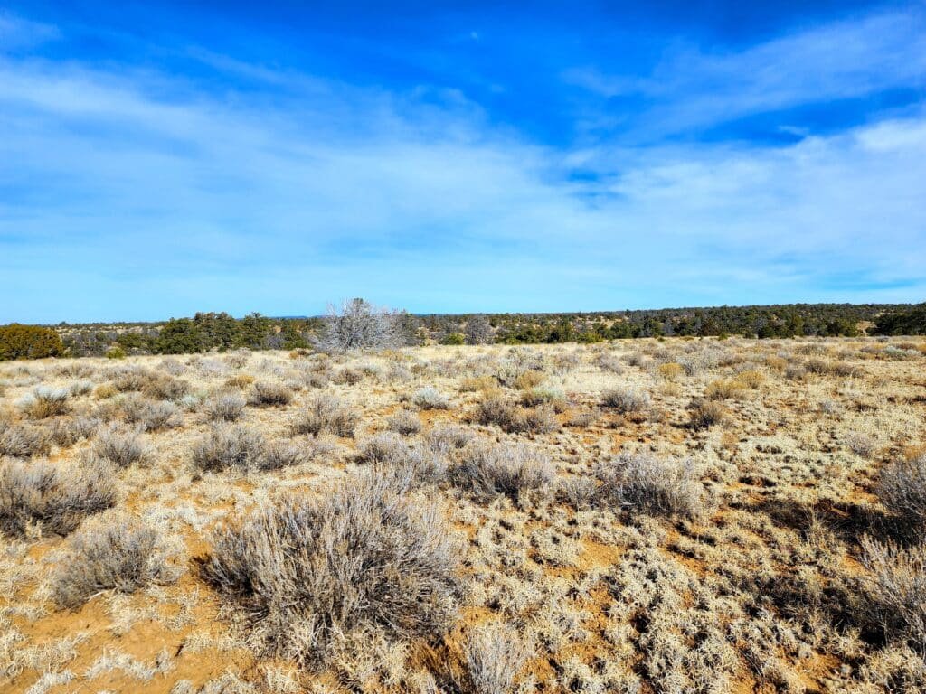 10 Acres of Freedom to Build, Camp, & RV Near Albuquerque, Ice Cave, & Bandera Volcano for 299/mo - photo 10