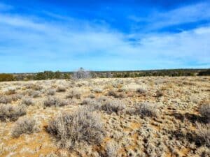 10 acre land for sale in Pinehill, New Mexico - photo 10